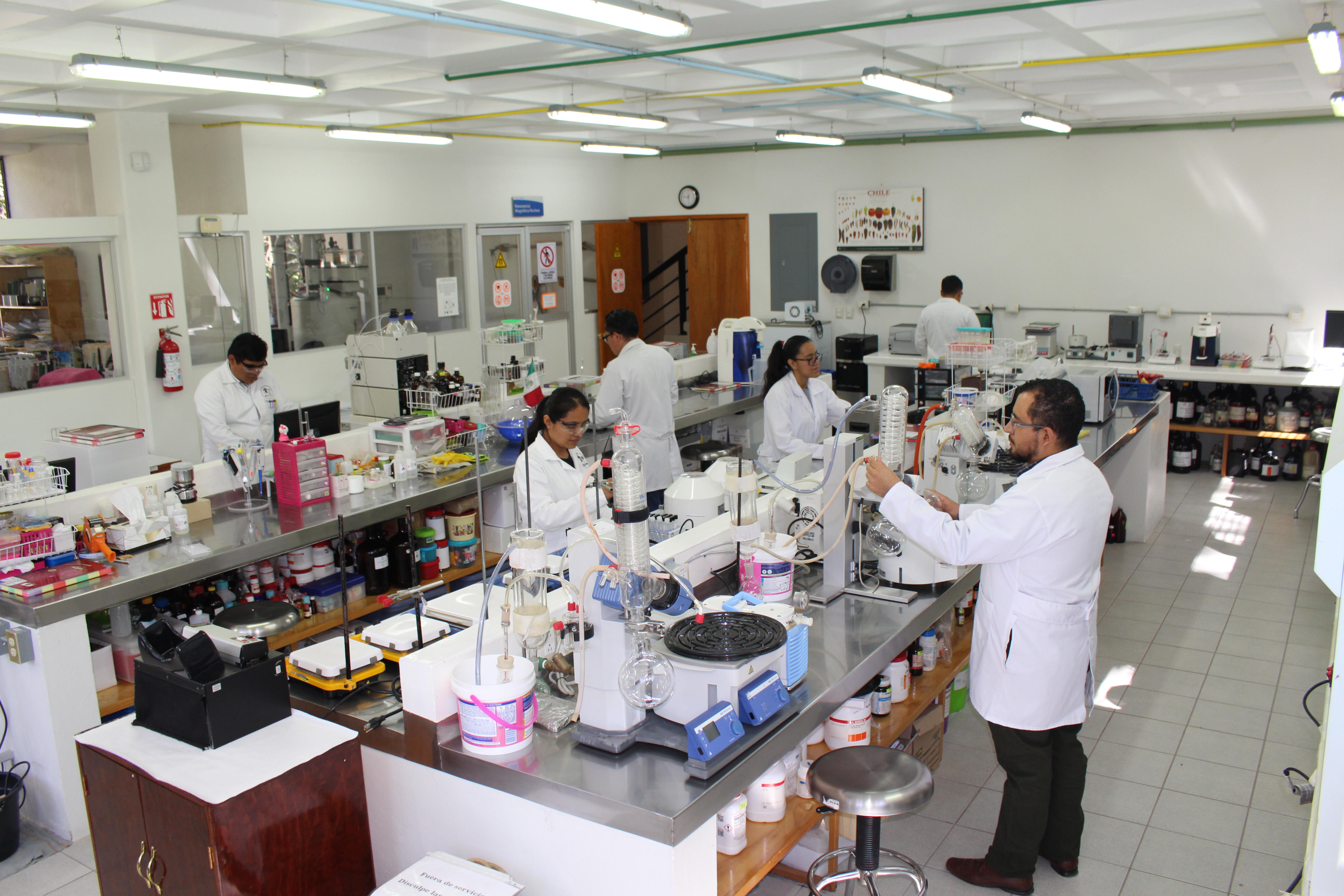 Ingenier&iacute;a en Qu&imica